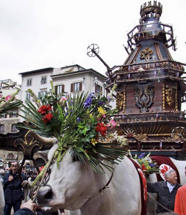 Il rione Diladdarno e ‘I Brindellone a Firenze L'angolo del gusto en rose