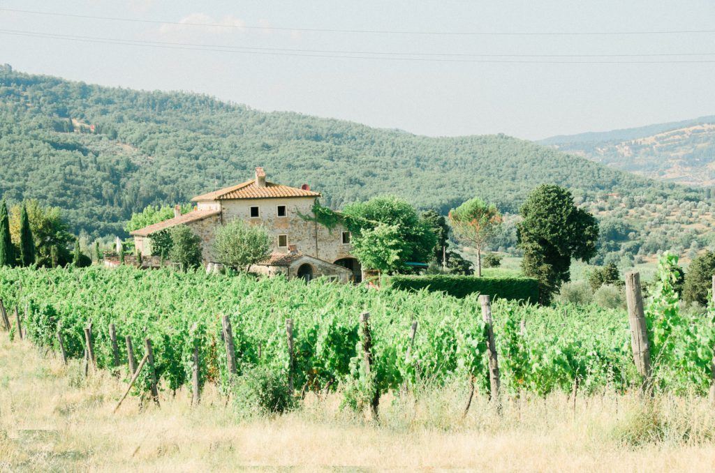 Fattoria Lavacchio