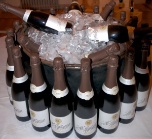 _IGP5269 - Version 2