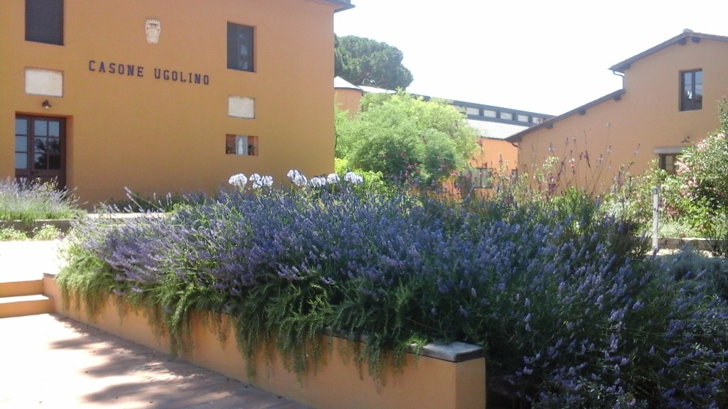 Casone Ugolino…Beer and Wine with Pizza