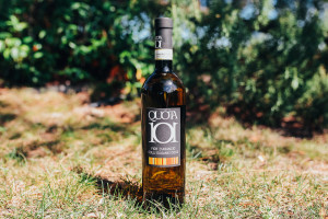 QUOTA101_foto_tenuta-204