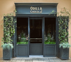 2_ODILLA CHOCOLAT