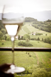 Vino in Villa (3)