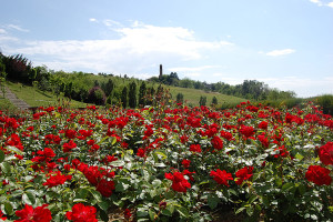parco-naturalistico