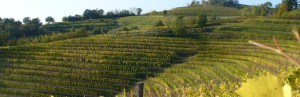 Collio