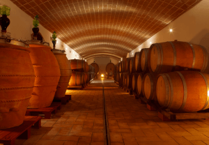 slide_download_cantina_interno