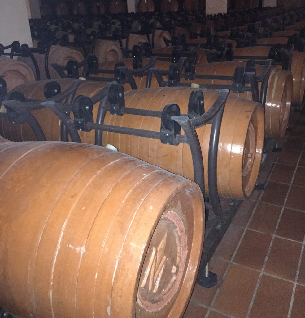 Barricoccio