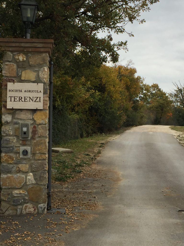 Cantina Terenzi di Scansano