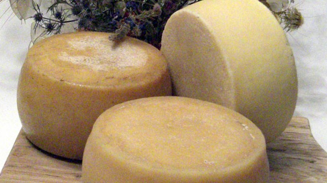 pecorino