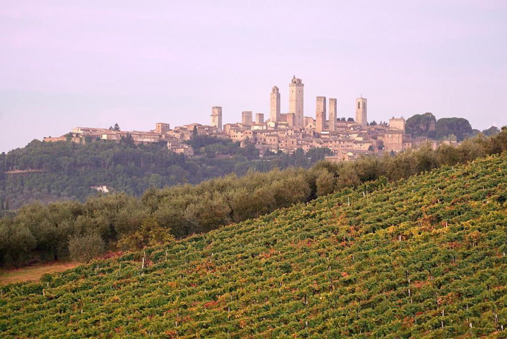 San-Gimignano-vista-dei-vigneti