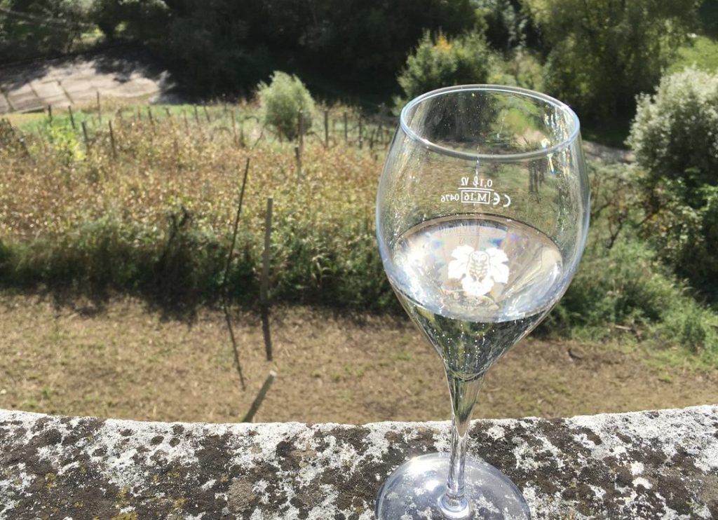 Montelvini Vigneto Ritrovato