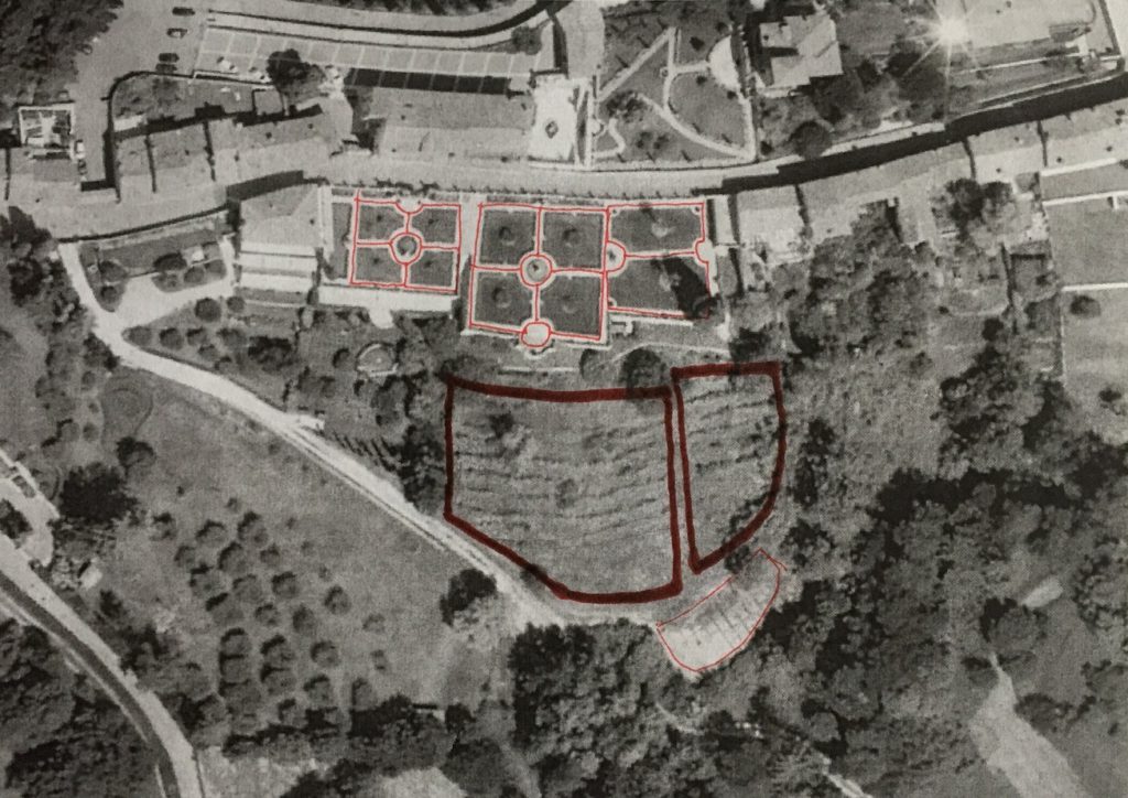 Recupero del Vigneto ritrovato nel dettaglio