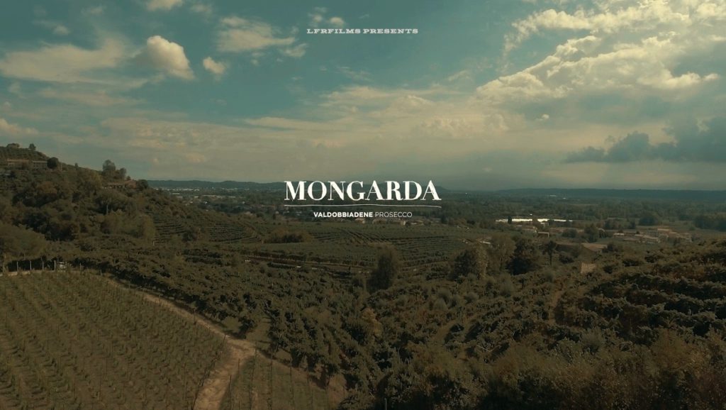 Mongarda: tra libri, bollicine e artigianalità