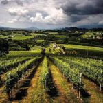 Primavera del Prosecco Superiore 2018