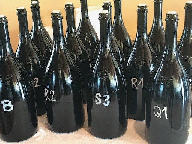 Campioni Quvée vendemmia 2017
