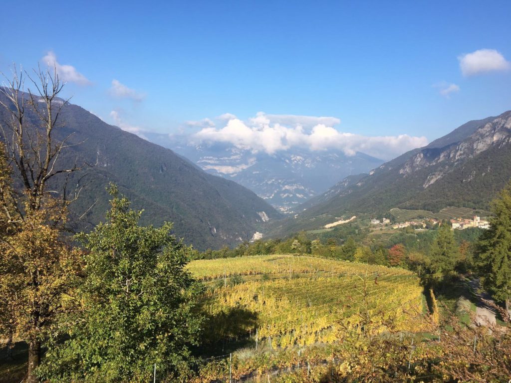 Vinitaly spumeggiante per Hofstätter Maso Michei