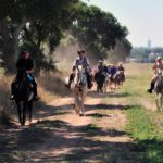 Tratturo Giulianello