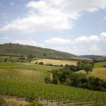 Montecucco paesaggio