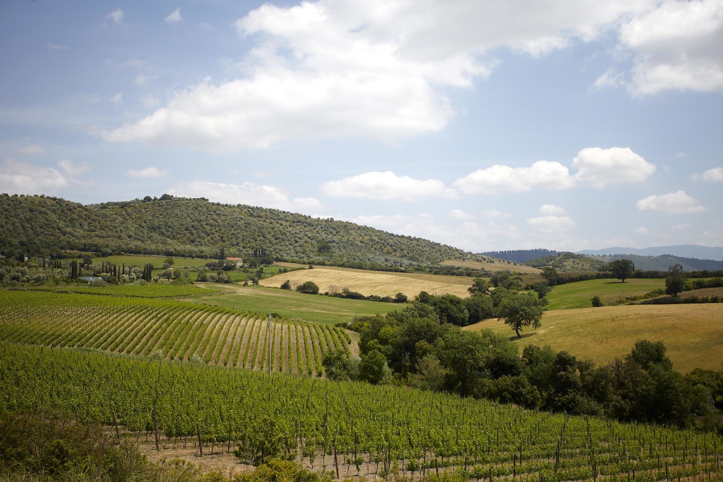 Montecucco paesaggio