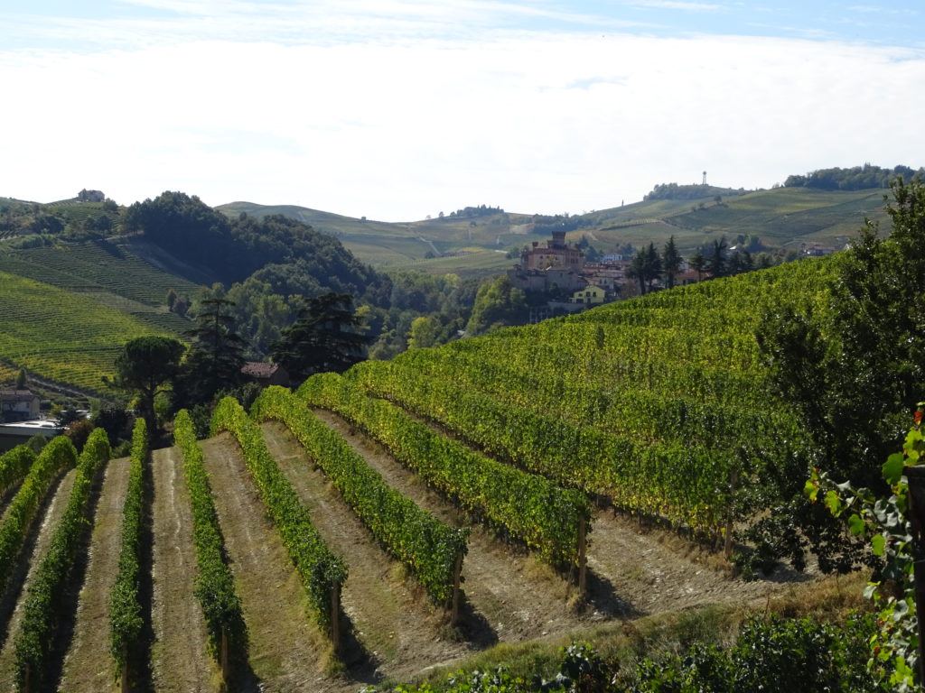Vigneti Cannubi