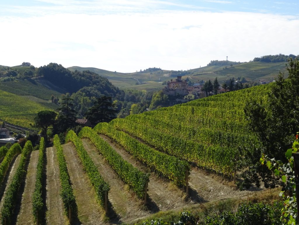 Barolo Cannubi 2012 di Tenuta Carretta Vigneti Cannubi