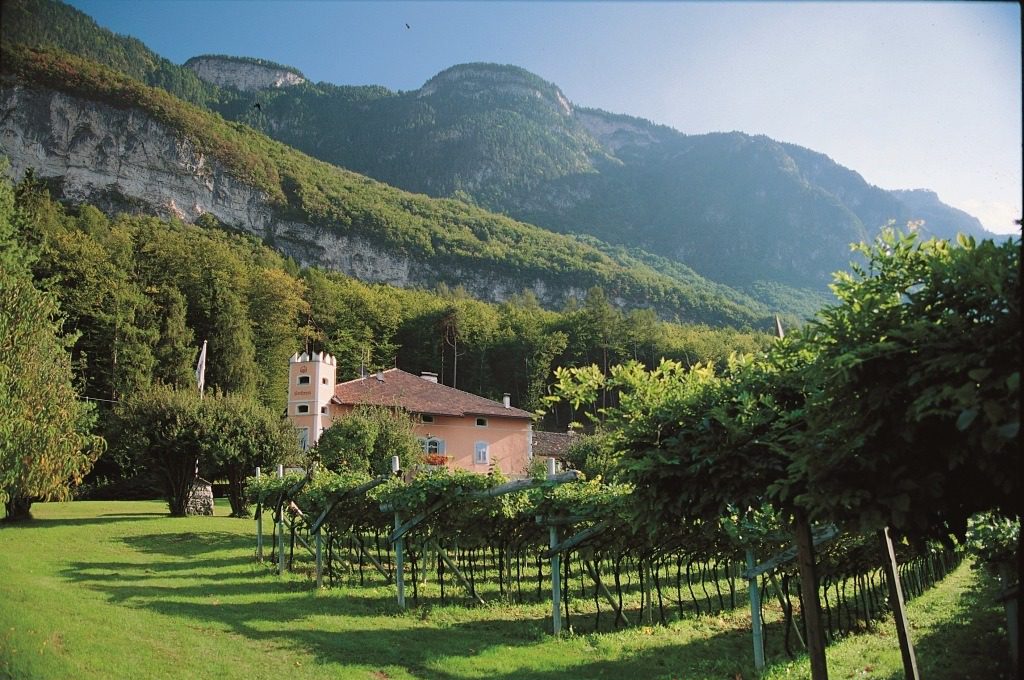 Domenica al Maso presso la tenuta Hofstätter Tenuta Barthenau - Weingut Barthenau - Barthenau estate