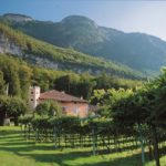 Tenuta Barthenau - Weingut Barthenau - Barthenau estate