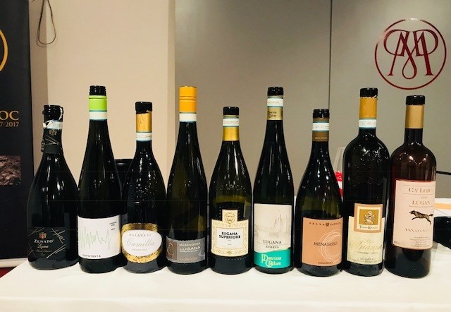 I vini Lugana – armonie senza tempo della Master Class