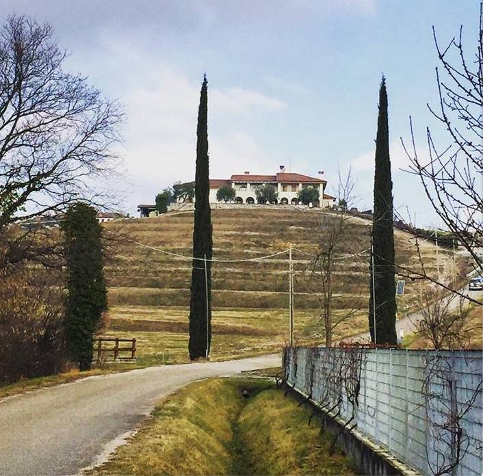 in Friuli la cantina Cantarutti Alfieri