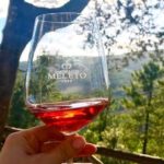 prima_notte_virginia_castello_meleto