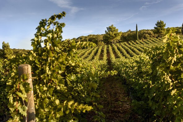 Monteverro
