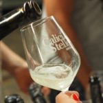 Calici di stelle ad Asolo