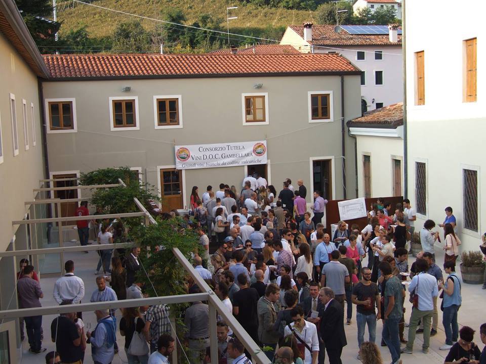Gambellara wine festival