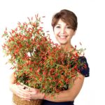 Rita Salvadori Paniere di peperoncini