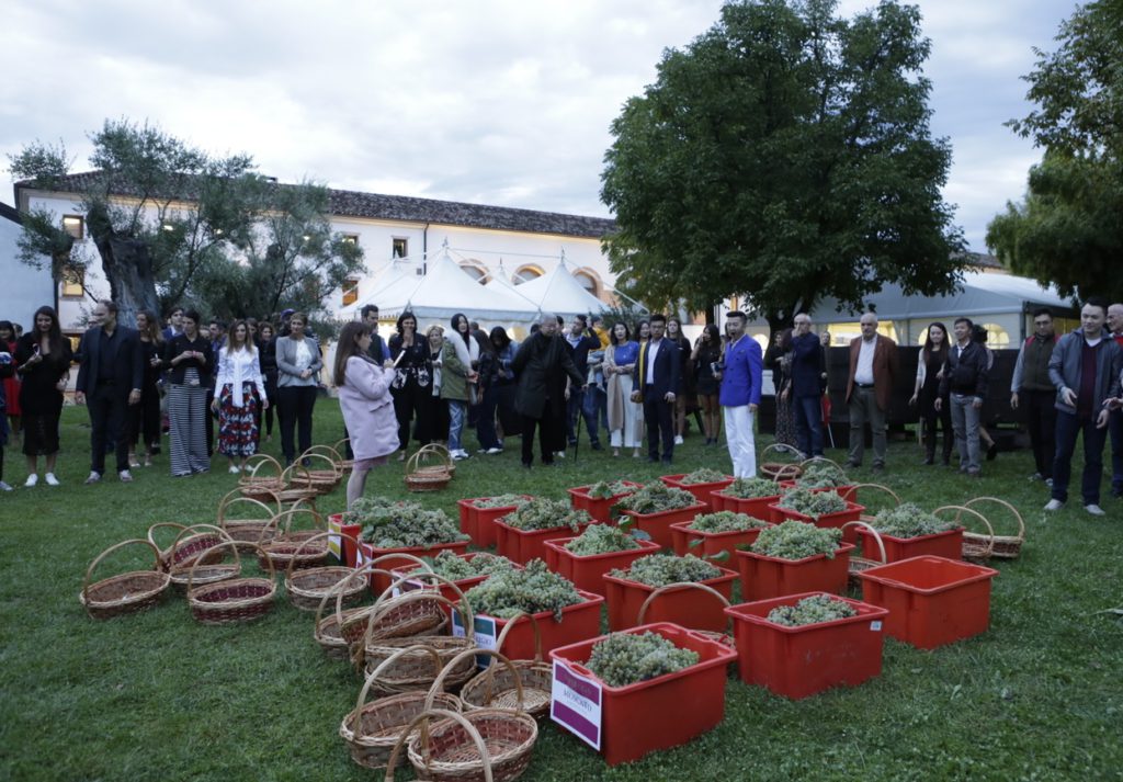 Vendemmia 2017 Gara Vendemmia