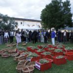 Vendemmia 2017 Gara Vendemmia