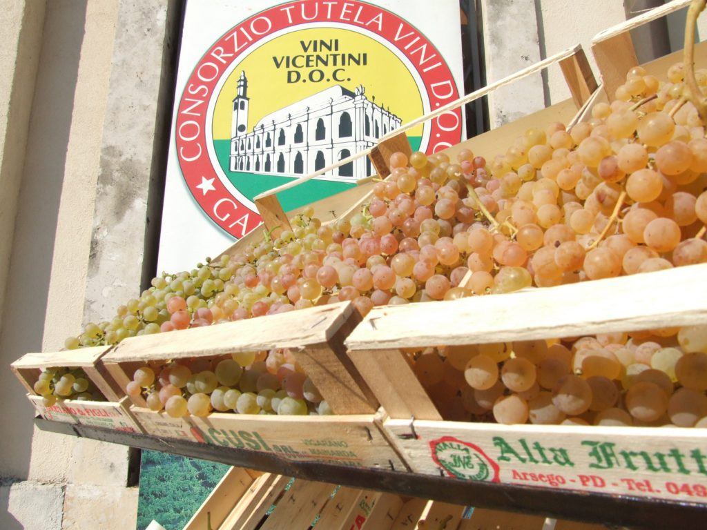 mostra uva Gambellara