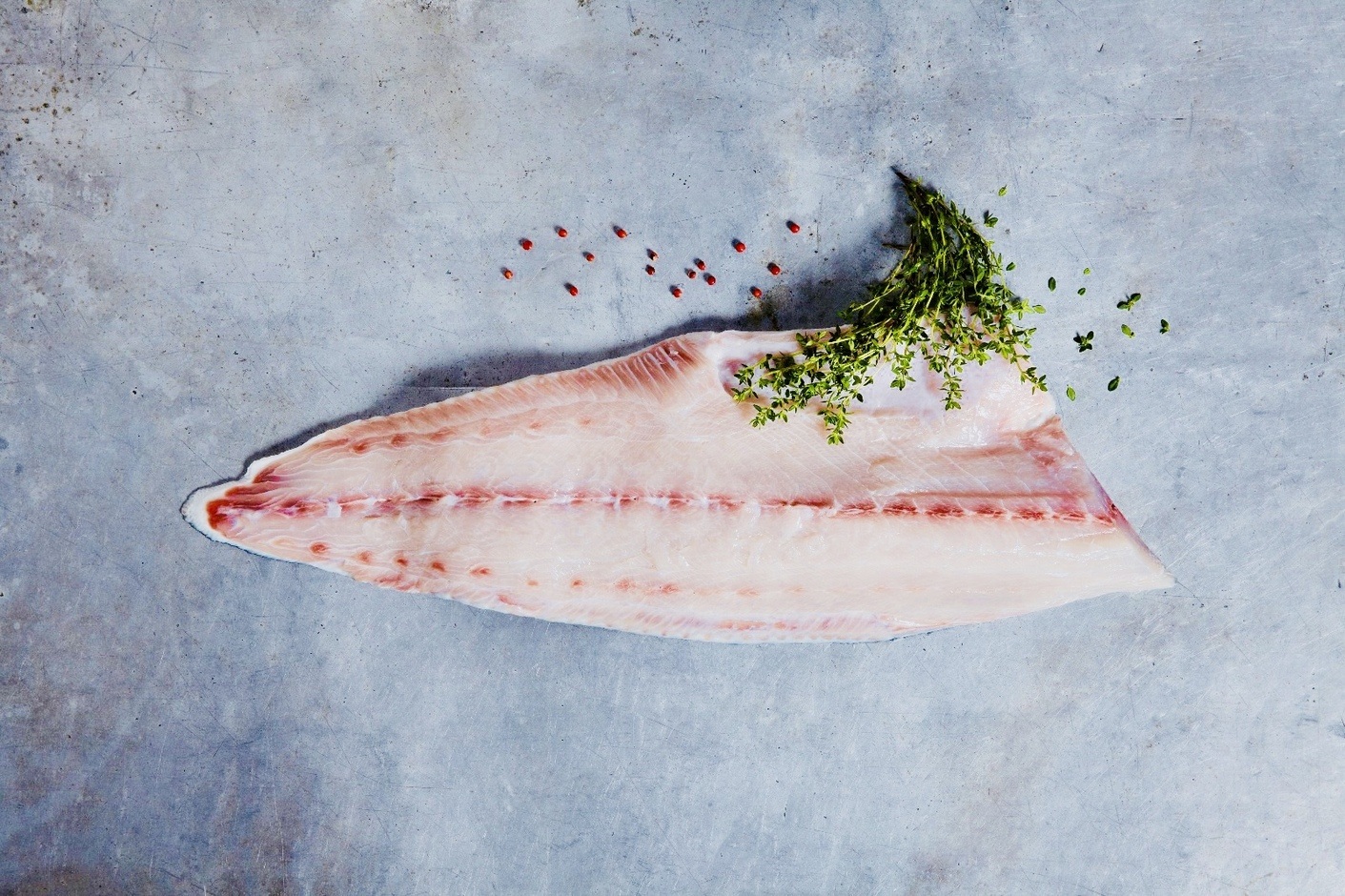 COBIA FILETTO OPENBLUE