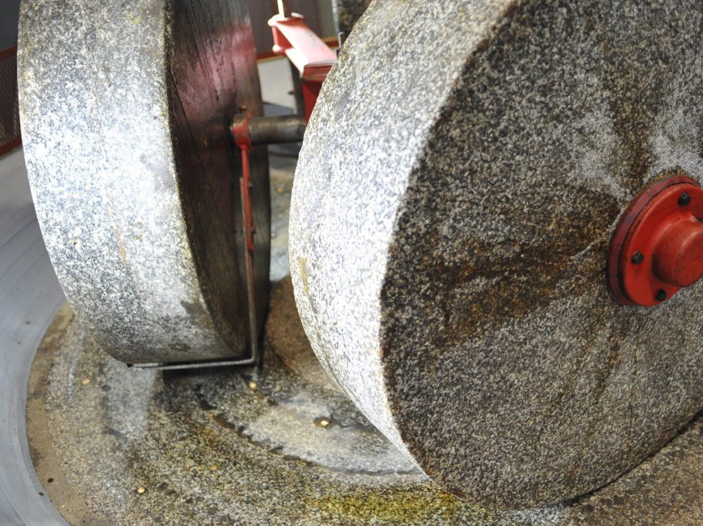 Festa per l’olio nuovo da Frantoio Turri Frantoio Turri