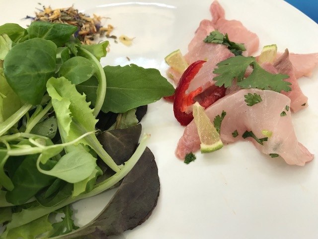 PESCE COBIA OPENBLUE MARINATO