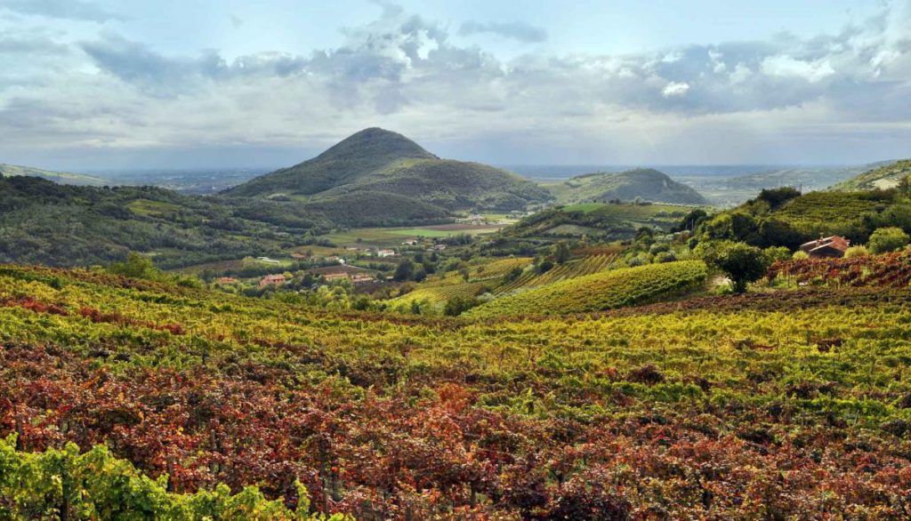 Le colline dei Colli Eiganei