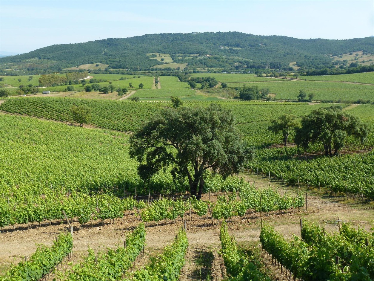 Maremma Toscana
