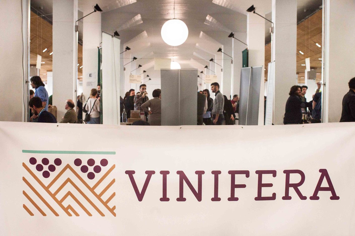 Vinifera a Trento