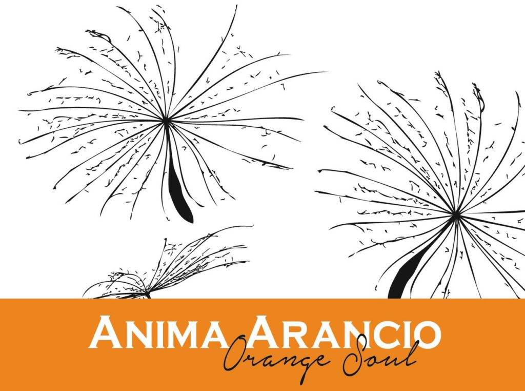 “Anima arancio” Arneis di Giacomo Fenocchio