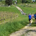 Ecomaratona del CollioBrd