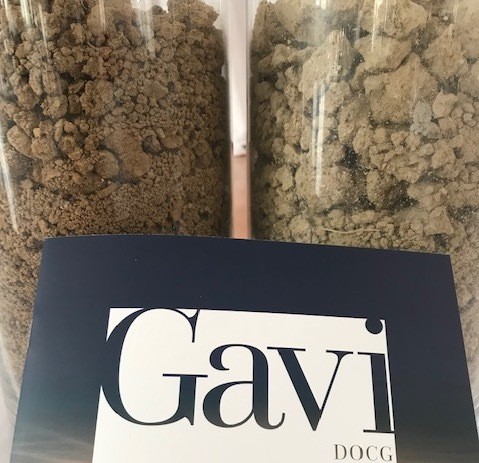 Gavi Terre rosse e Terre bianche