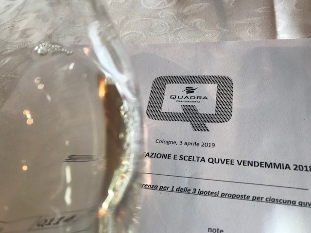 XI Giornata Quvée Quadra