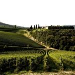 Tedeschi vigneti