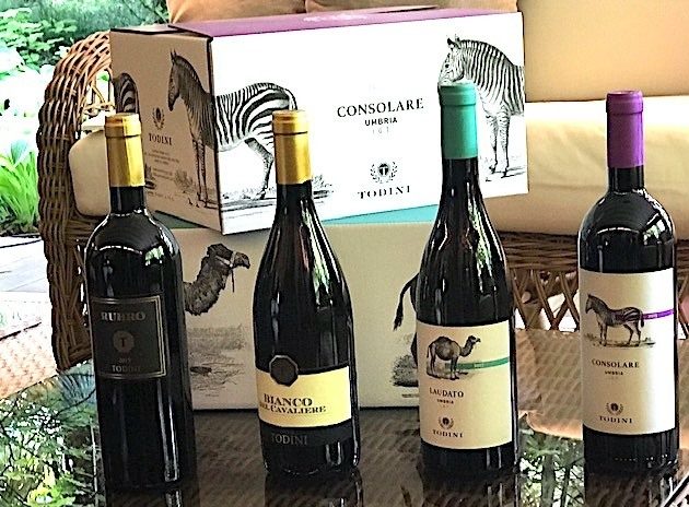 Cantina Todini