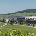 Champagne Nicolas Feuillatte